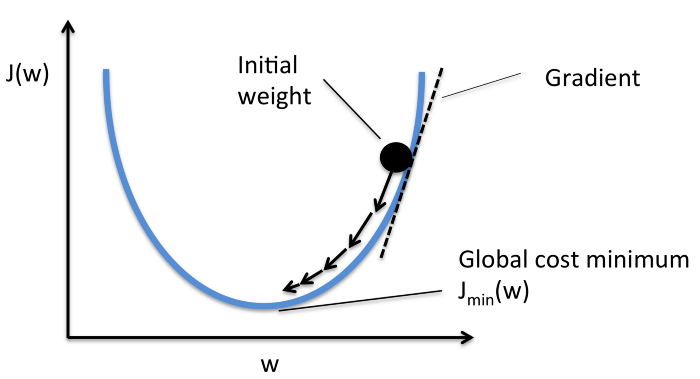 How the initial weight moves